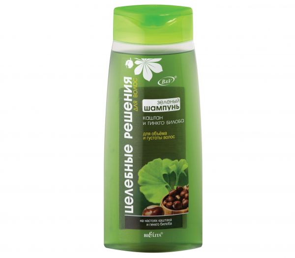 Shampoo for hair "Chestnut and ginkgo biloba" (480 ml) (10323216)